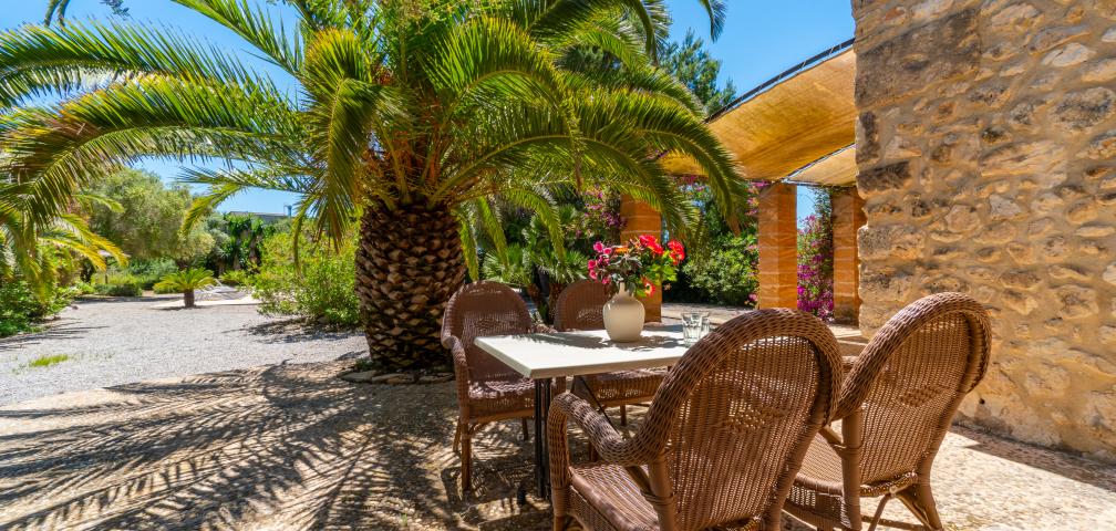 Finca S'Olivar d´es Coscois