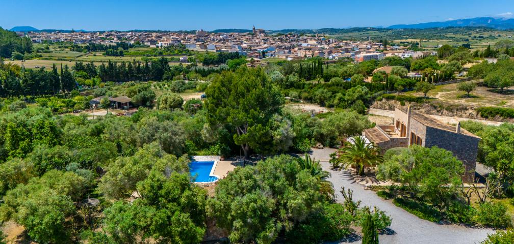 Finca S'Olivar d´es Coscois