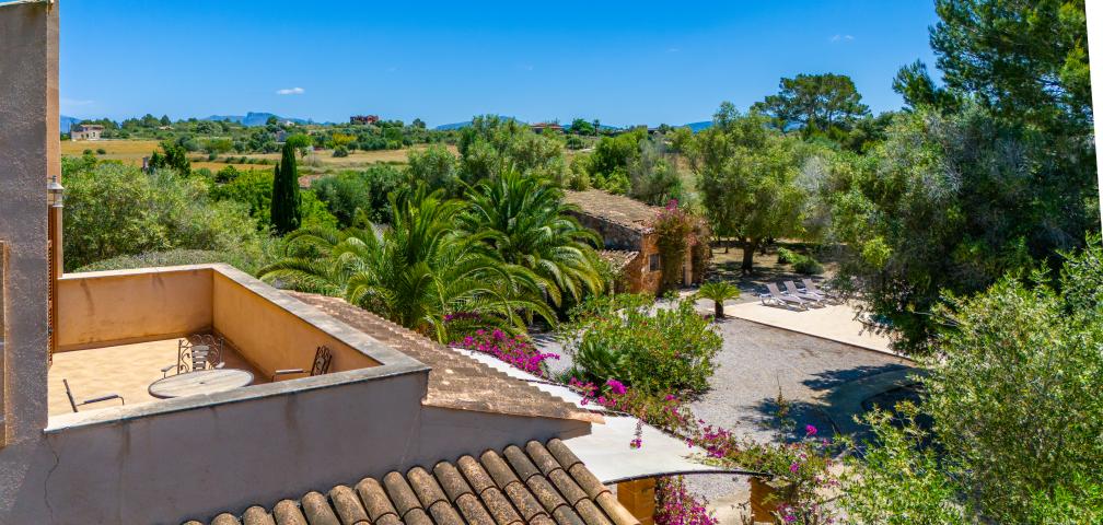 Finca S'Olivar d´es Coscois