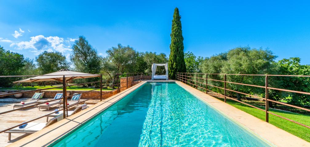 S'Olivar des Barranc de Son Cifre