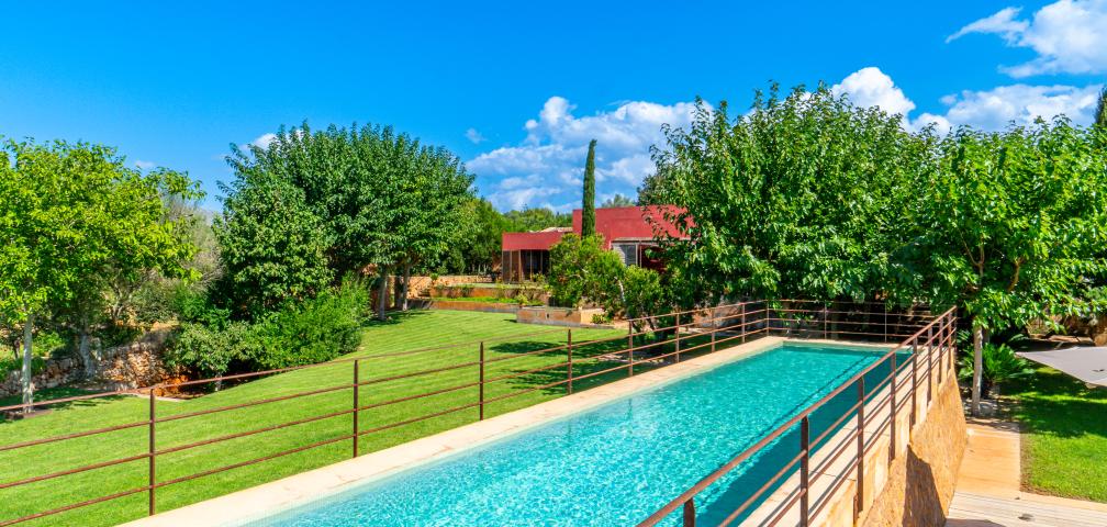 S'Olivar des Barranc de Son Cifre