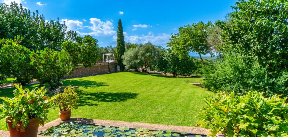 Finca S'Olivar des Barranc de Son Cifre