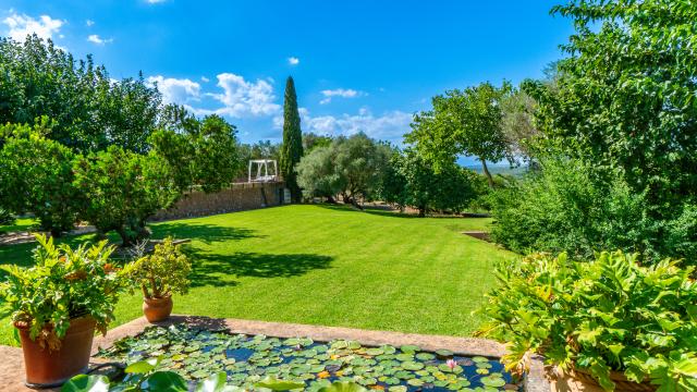 Finca S'Olivar des Barranc de Son Cifre