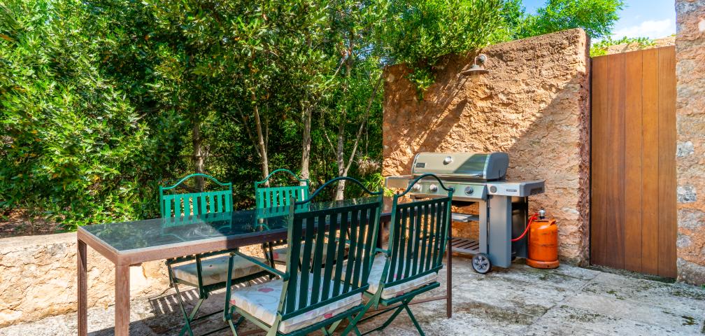 Finca S'Olivar des Barranc de Son Cifre