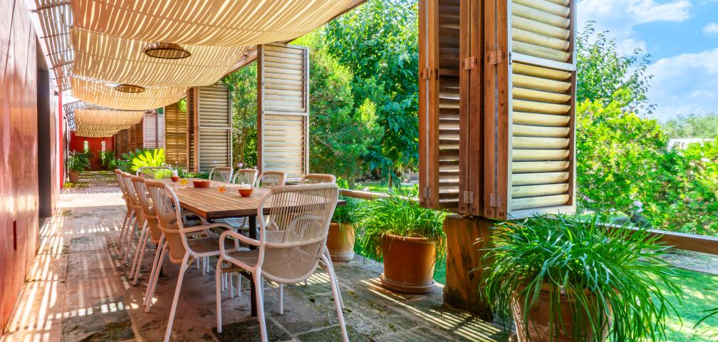 S'Olivar des Barranc de Son Cifre