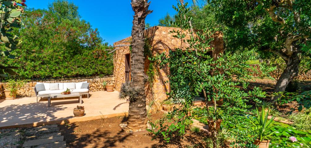 Finca S'Olivar des Barranc de Son Cifre