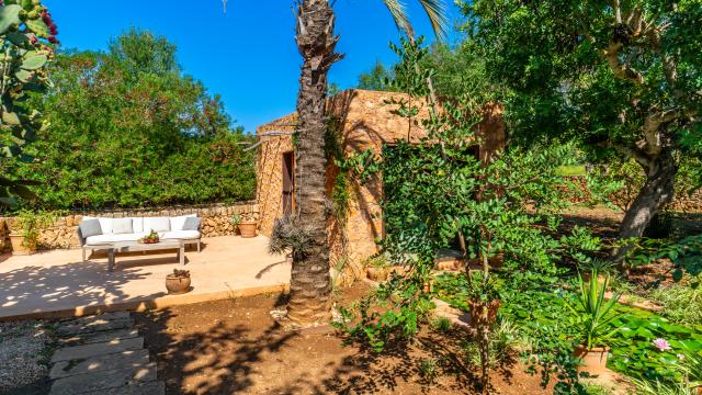 Finca S'Olivar des Barranc de Son Cifre