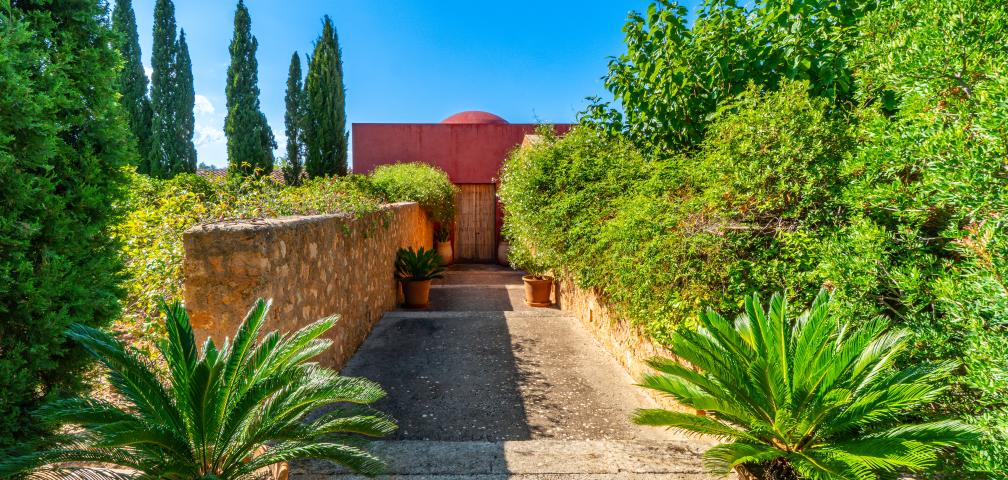 Finca S'Olivar des Barranc de Son Cifre