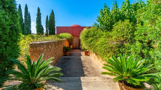 Finca S'Olivar des Barranc de Son Cifre