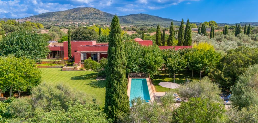 S'Olivar des Barranc de Son Cifre