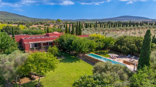 Finca S'Olivar des Barranc de Son Cifre