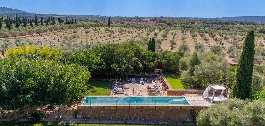 Finca S'Olivar des Barranc de Son Cifre