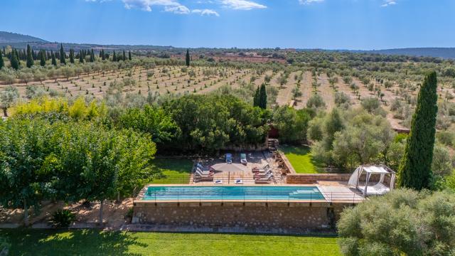 Finca S'Olivar des Barranc de Son Cifre