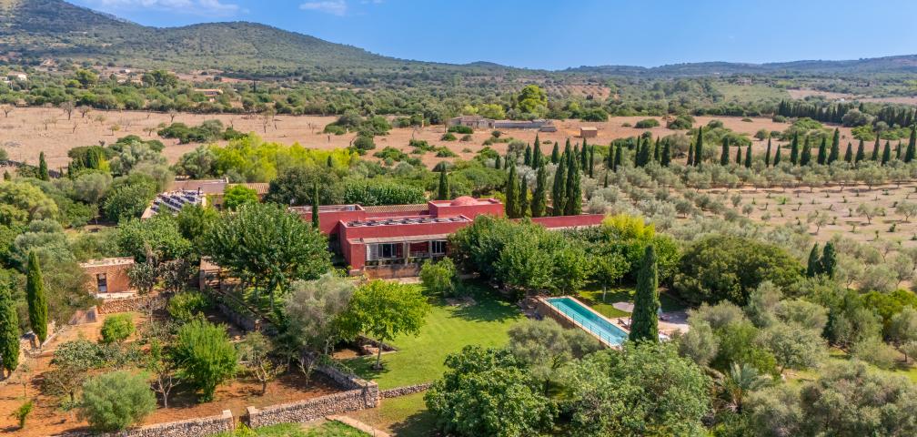 Finca S'Olivar des Barranc de Son Cifre