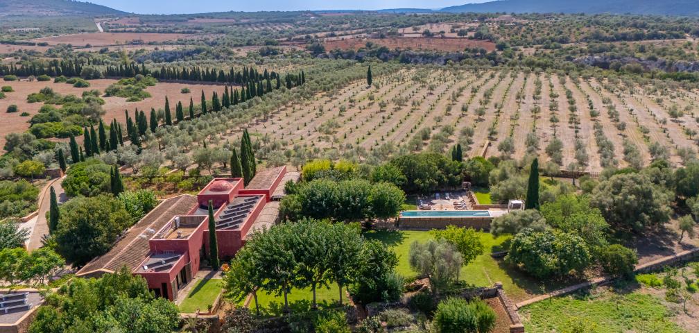 Finca S'Olivar des Barranc de Son Cifre