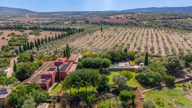 Finca S'Olivar des Barranc de Son Cifre