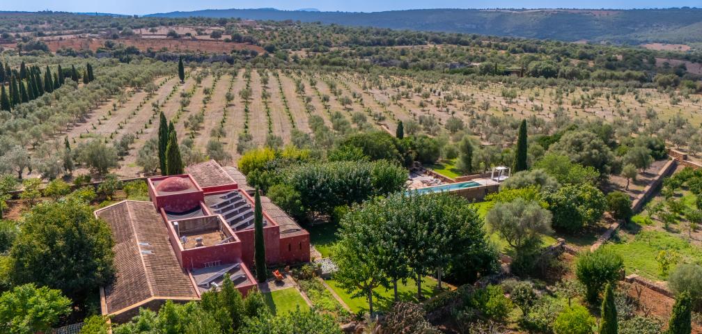 Finca S'Olivar des Barranc de Son Cifre