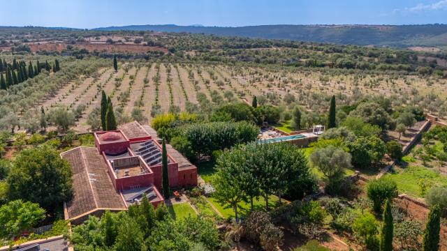 Finca S'Olivar des Barranc de Son Cifre