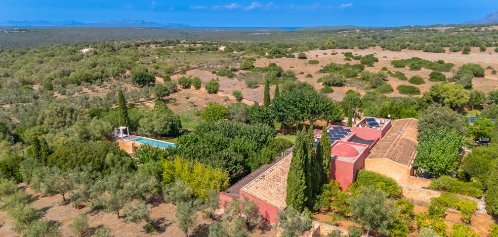 Finca S'Olivar des Barranc de Son Cifre