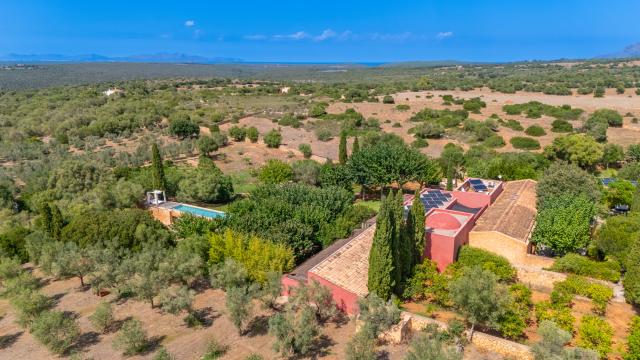 Finca S'Olivar des Barranc de Son Cifre