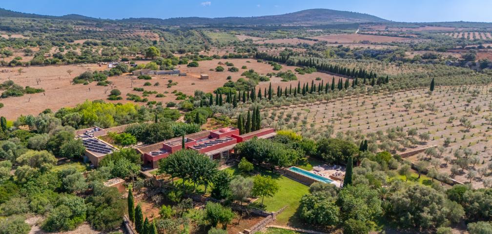 Finca S'Olivar des Barranc de Son Cifre