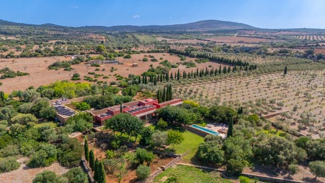 Finca S'Olivar des Barranc de Son Cifre