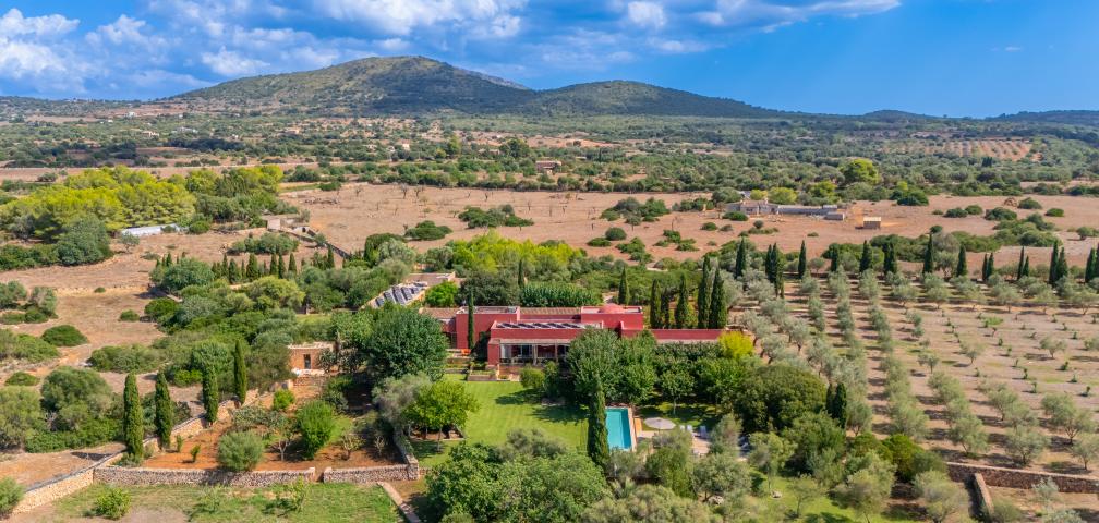 Finca S'Olivar des Barranc de Son Cifre