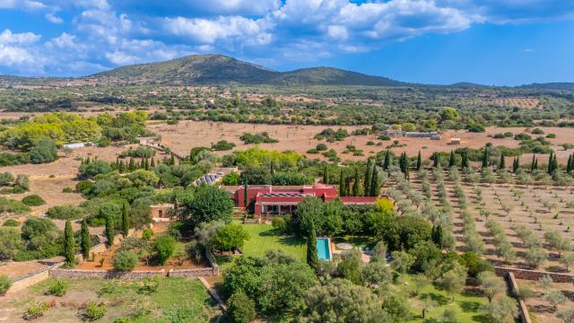Finca S'Olivar des Barranc de Son Cifre