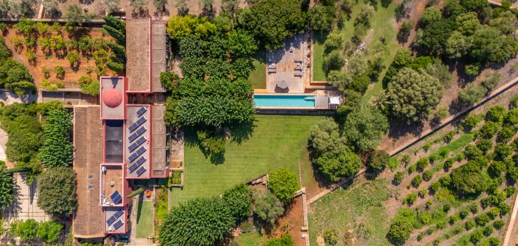 Finca S'Olivar des Barranc de Son Cifre