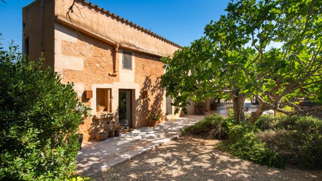 Finca Jara