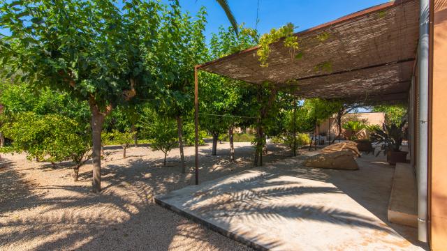 Finca Jara