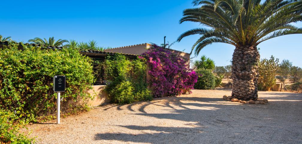 Finca Jara