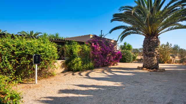 Finca Jara