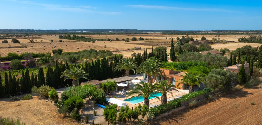 Finca Jara