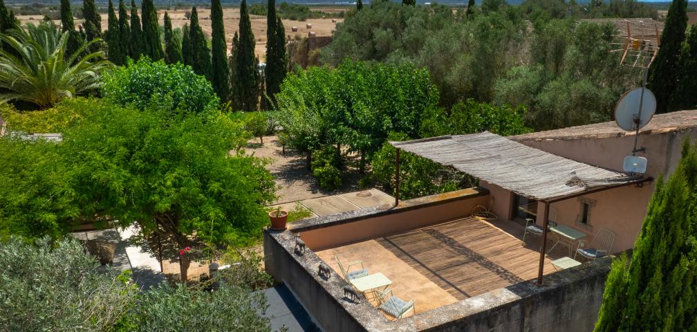 Finca Jara