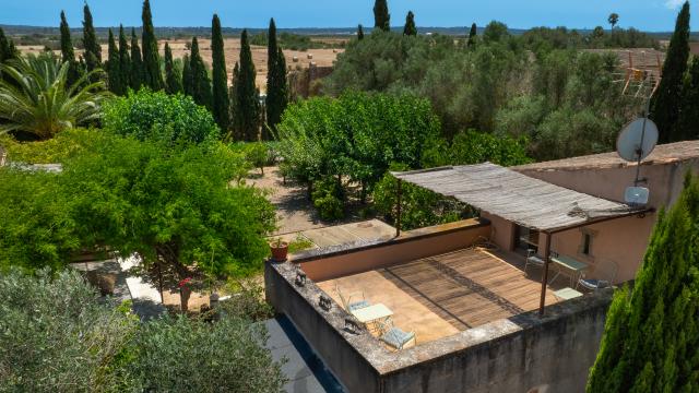 Finca Jara