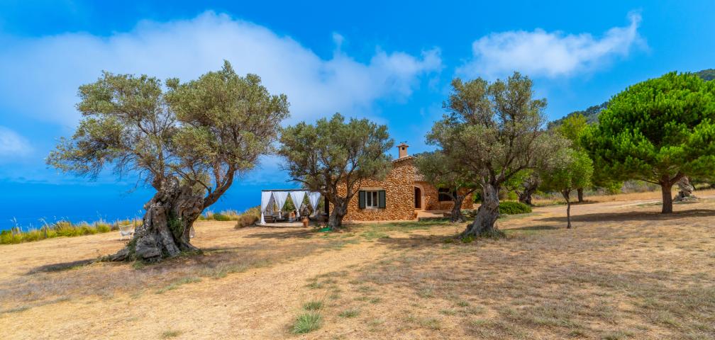 Finca Son Gallard Nou