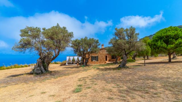 Finca Son Gallard Nou