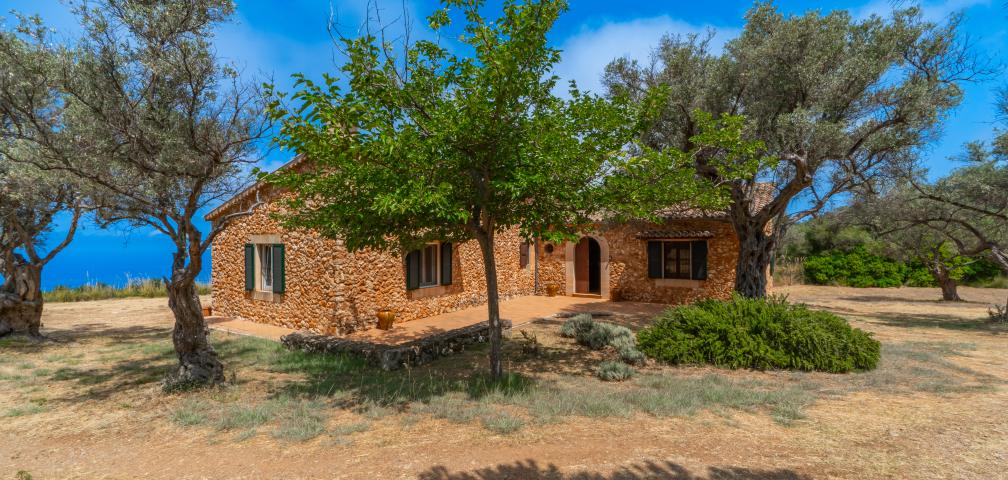 Finca Son Gallard Nou