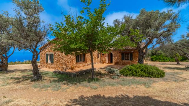 Finca Son Gallard Nou