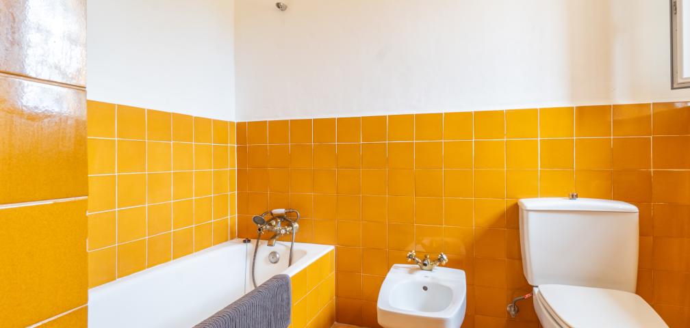 Finca Son Gallard Nou