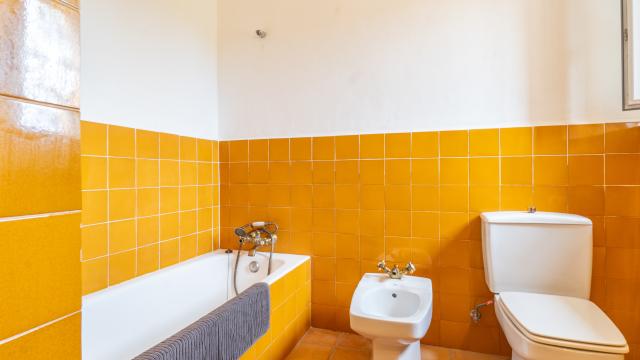 Finca Son Gallard Nou