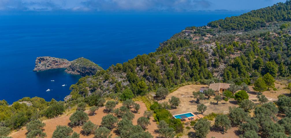 Finca Son Gallard Nou