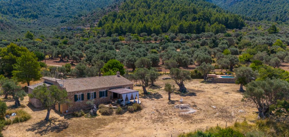 Finca Son Gallard Nou