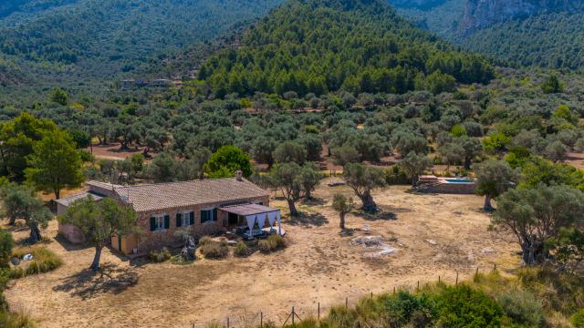 Finca Son Gallard Nou