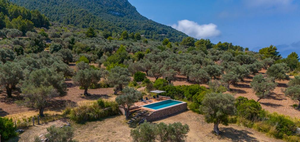 Finca Son Gallard Nou