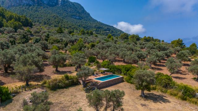 Finca Son Gallard Nou