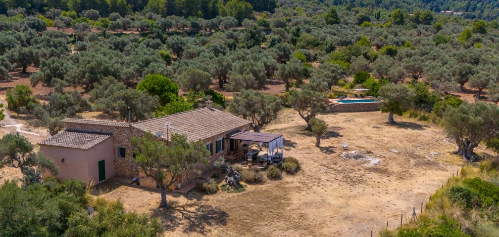 Finca Son Gallard Nou