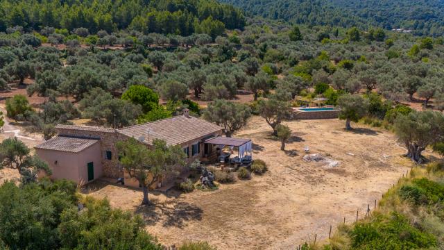 Finca Son Gallard Nou