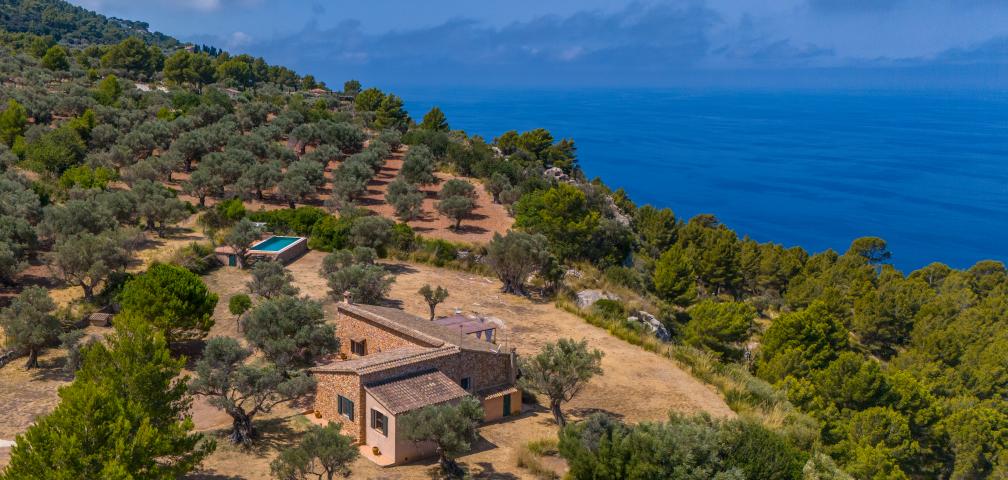 Finca Son Gallard Nou